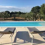 펜션 Trulli Il Pinnacolo 알베르벨로